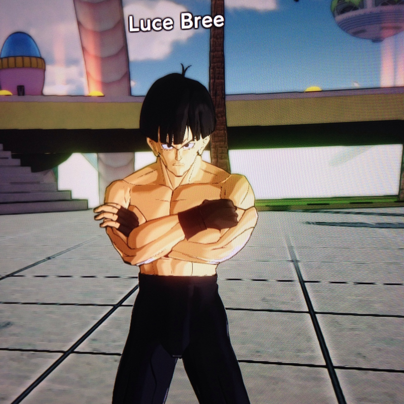 Illustration for article titled Players Are Making The Best Dragon Ball Xenoverse Characters